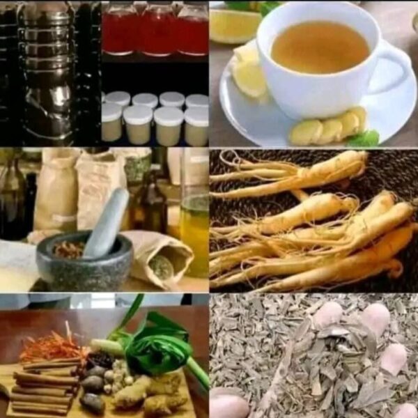 Galeri Pengobatan Tradisional Vitalitas Kota Tangerang (20)